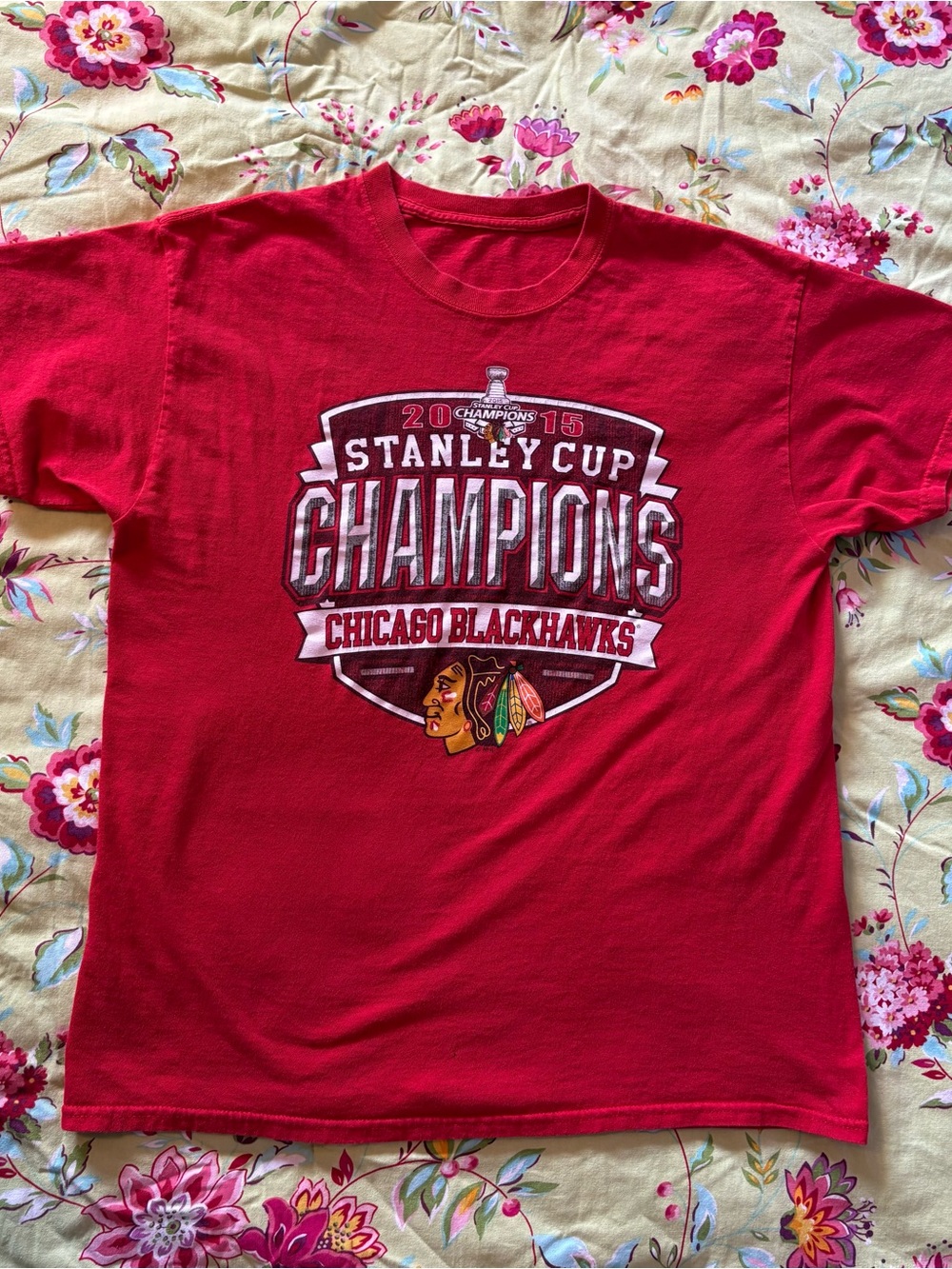 Chicago Blackhawks x NHL 2015 Stanley Cup Champions tee large 27”x22” GUC